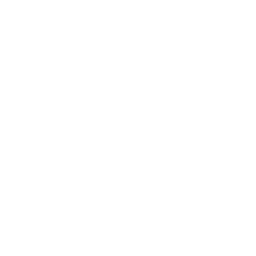 fighter jet silhouette